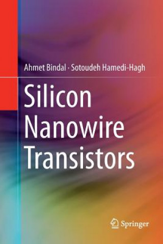 Kniha Silicon Nanowire Transistors AHMET BINDAL