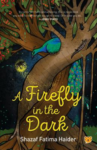 Buch Firefly in the Dark SHAZAF FATIM HAIDER