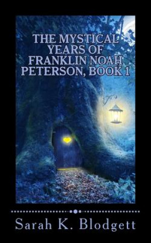 Kniha The Mystical Years of Franklin Noah Peterson, Book 1: The Early Years (Noah Text - Syllables + Long Vowels) Sarah K Blodgett