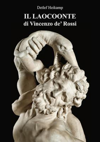 Könyv Il Laocoonte Di Vincenzo De' Rossi Detlef Heikamp