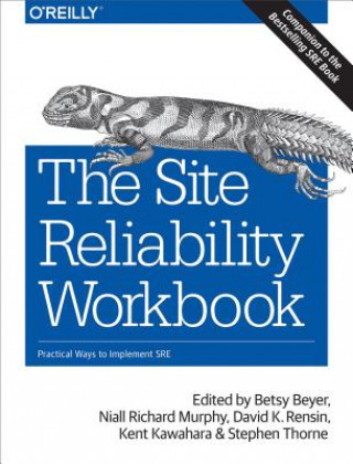 Kniha Site Reliability Workbook Niall Richard Murphy