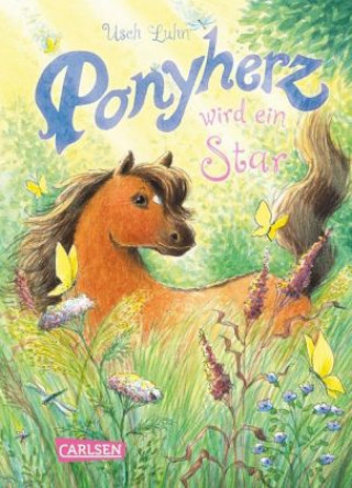 Kniha Ponyherz 12: Ponyherz wird ein Star Usch Luhn