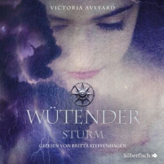 Audio Die Farben des Blutes 4: Wütender Sturm Victoria Aveyard
