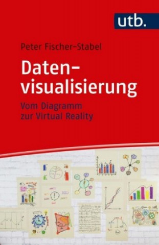 Kniha Datenvisualisierung Peter Fischer-Stabel