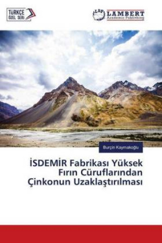 Książka ISDEMIR Fabrikasi Yüksek Firin Cüruflarindan Çinkonun Uzaklastirilmasi Burçin Kaymakoglu