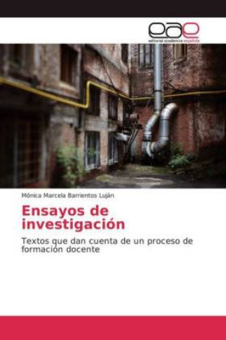 Könyv Ensayos de investigacion Mónica Marcela Barrientos Luján