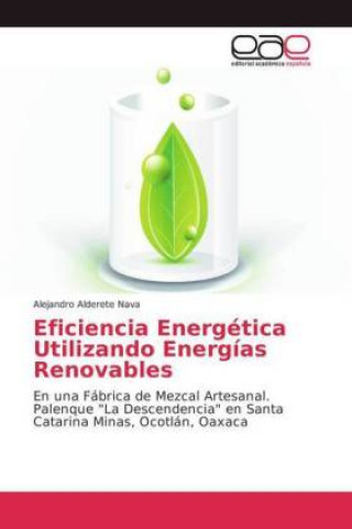 Carte Eficiencia Energetica Utilizando Energias Renovables Alejandro Alderete Nava