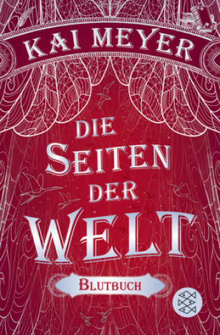 Kniha Die Seiten der Welt Kai Meyer