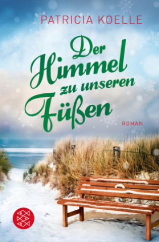 Kniha Der Himmel zu unseren Füßen Patricia Koelle