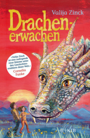 Buch Drachenerwachen Valija Zinck