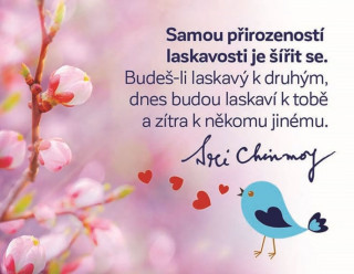 Articole de papetărie Magnet na lednici - Samou přirozeností laskavosti Sri Chinmoy
