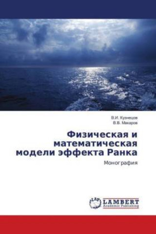 Kniha Fizicheskaya i matematicheskaya modeli jeffekta Ranka V. I. Kuznecov