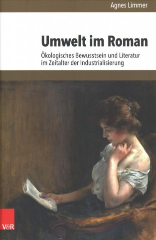 Könyv Umwelt im Roman Agnes Limmer