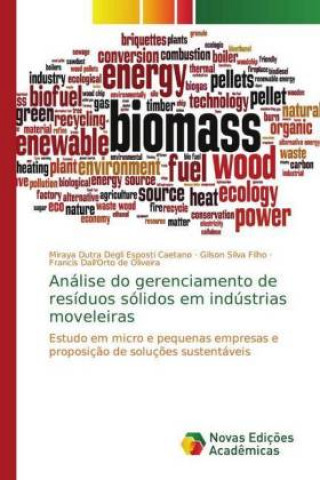 Könyv Analise do gerenciamento de residuos solidos em industrias moveleiras Miraya Dutra Degli Esposti Caetano