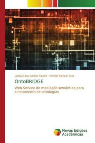 Książka OntoBRIDGE Lamark dos Santos Ribeiro