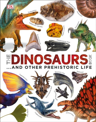 Knjiga Our World in Pictures The Dinosaurs Book John Woodward