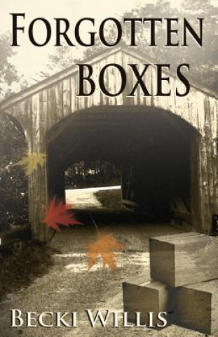 Knjiga Forgotten Boxes Becki Willis