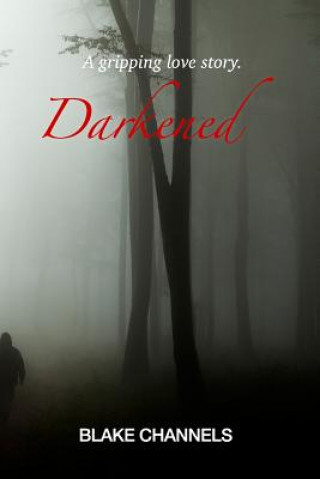 Book Darkened Blake Channels