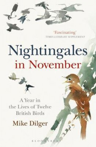 Książka Nightingales in November Mike Dilger