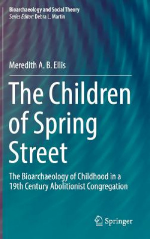 Kniha Children of Spring Street Meredith A. B. Ellis