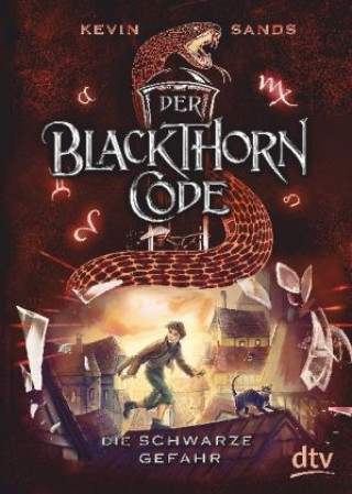 Kniha Der Blackthorn-Code - Die schwarze Gefahr Kevin Sands