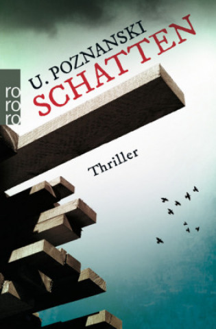Boek Schatten Ursula Poznanski
