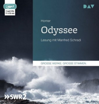 Digital Odyssee Homer