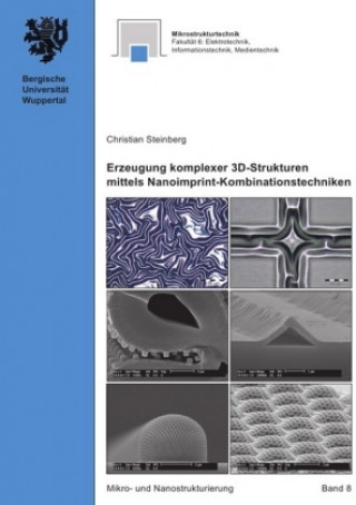 Könyv Mikro- und Nanostrukturierung / Erzeugung komplexer 3D-Strukturen mittels Nanoimprint-Kombinationstechniken Christian Steinberg