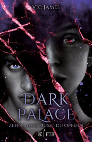 Kniha Dark Palace - Zehn Jahre musst du opfern. Bd.1 Victoria James