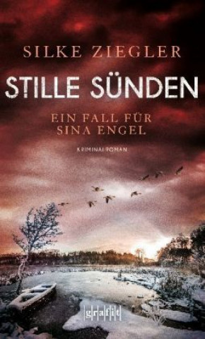 Kniha Stille Sunden Silke Ziegler