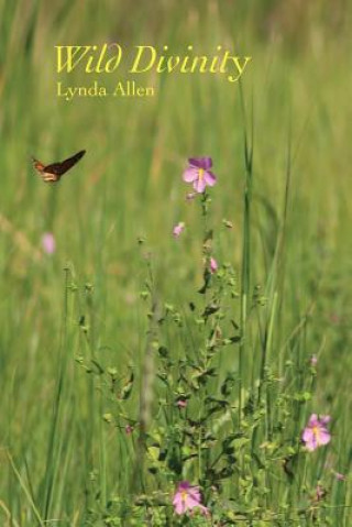 Knjiga Wild Divinity LYNDA ALLEN