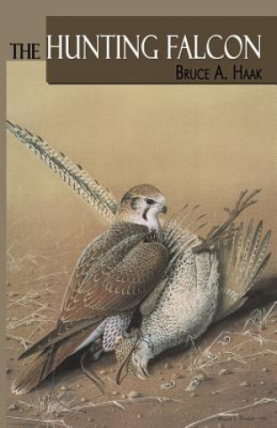 Buch Hunting Falcon, The Bruce Haak