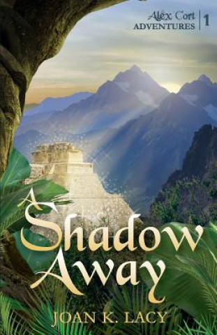 Kniha Shadow Away Joan K Lacy