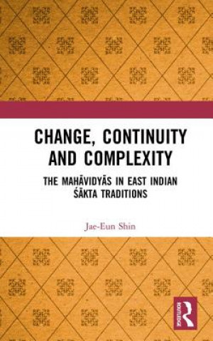 Knjiga Change, Continuity and Complexity SHIN