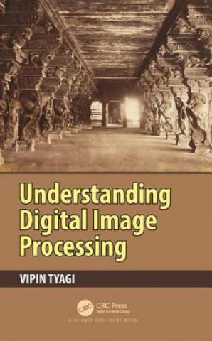 Knjiga Understanding Digital Image Processing TYAGI