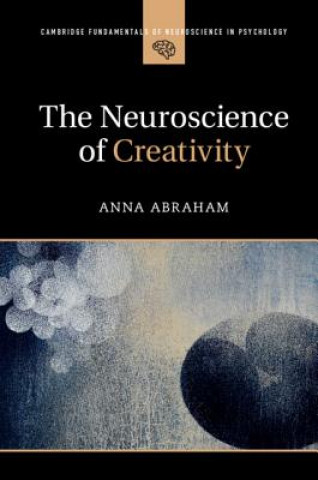 Kniha Neuroscience of Creativity ABRAHAM  ANNA