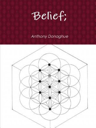 Buch Belief; ANTHONY DONAGHUE