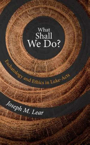 Knjiga What Shall We Do? JOSEPH M. LEAR