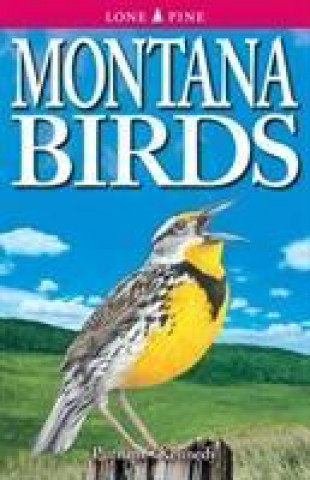 Carte Montana Birds Gregory Kennedy