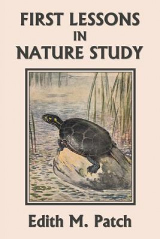 Kniha First Lessons in Nature Study (Yesterday's Classics) EDITH M. PATCH