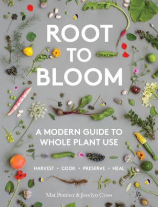 Kniha Root to Bloom Mat Pember