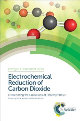 Kniha Electrochemical Reduction of Carbon Dioxide 