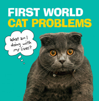 Carte First World Cat Problems 