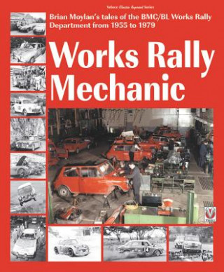 Carte Works rally Mechanic Brian Moylan