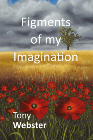 Könyv Figments of my Imagination TONY WEBSTER