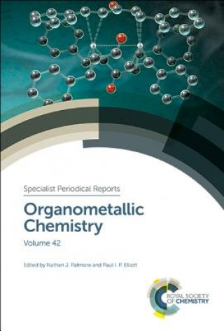 Kniha Organometallic Chemistry PAUL NATHAN PATMORE
