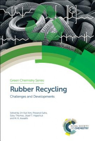 Kniha Rubber Recycling PROSENJI JIN KUK KIM