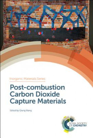 Book Post-combustion Carbon Dioxide Capture Materials QIANG WANG
