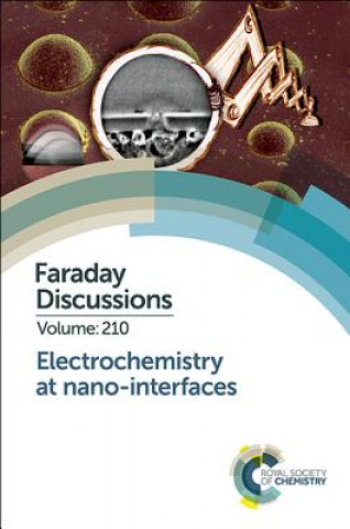 Kniha Electrochemistry at Nano-interfaces Royal Society of Chemistry