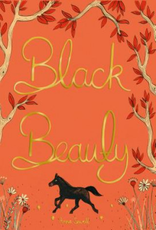 Kniha Black Beauty Sewell